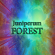 Juniperum - Forest (Original Mix)