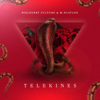 Telekines (feat Discovery Culture )