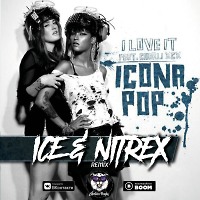 Icona Pop feat. Charli XCX - I Love It (Ice & Nitrex Remix)