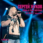 Сергей Жуков - Лишь о тебе мечтаю (Dj Amice Remix)