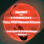 Imany vs Syntheticsax - You Will Never Know (Ivan Spell & Daniel Magre Reboot)