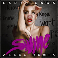 Lady Gaga - Swine (Assel Remix)