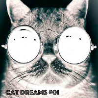 Freeno-catdreams#01