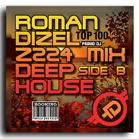 DJ Roman Dizel - Z224 B (HDFR024)