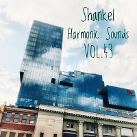 Harmonic Sounds. Vol.43