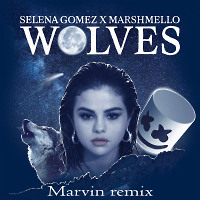 Selena Gomez & Marshmello - Wolves Prewie