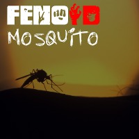 Mosquito by fenoID