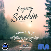 Evgeniy Sorokin - Sound Maze 037