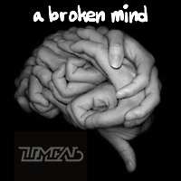 A Broken Mind