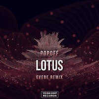Lotus (Evebe remix)