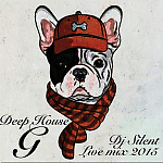 Dj Silent - Deep House G live mix 2015
