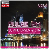 DJ Andersen & ZTN - Pulse PM Vol.7