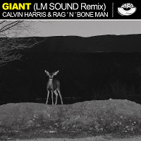Calvin Harris & Rag'n'Bone Man - Giant (LM Sound Remix) [MOUSE-P]
