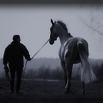 TRK - Выйду ночью в поле с конем