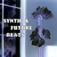 Synth & Future Beats