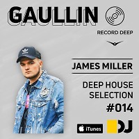 Deep House Selection #014 Guest Mix Gaullin (Record Deep)