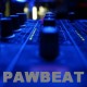 Pawbeat - Беги (Original mix)