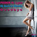 Feder ft Lyse - Goodbye (Dj Amice Remix)