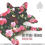 Mr. Probz – Waves (Deepcat Mix)