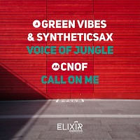 Green Vibes & Syntheticsax - Voice of Jungle