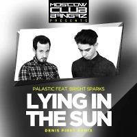 Palastic feat Bright Sparks - Lying In The Sun (Denis First Remix)