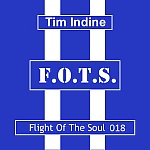 Tim Indine - Flight Of The Soul 018