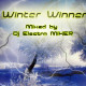 Winter Winner mixed by Dj Electro MiXER