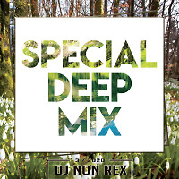 Special Deep Mix - 3 (2020)