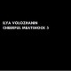 Ilya Volozhanin - Cheerful meatshock 5