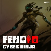 Cyber Ninja by fenoID