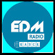 Sander SIA - Happy Birthday EDM Radio 2015 (06.04.2015)