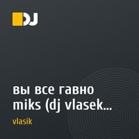 вы все гавно  miks  (dj vlasek 2010)