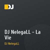DJ NelegaLL - La Vie