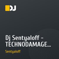 Dj Sentyaloff - TECHNODAMAGE VOL.1