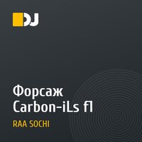 Форсаж  Carbon-iLs f1