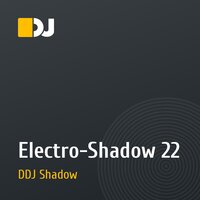 Electro-Shadow 22