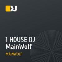 1 HOUSE DJ MainWolf