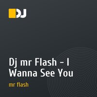 Dj mr Flash   -   I Wanna See You