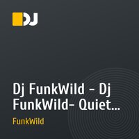 Dj FunkWild - Dj FunkWild- Quiet electro