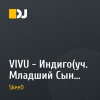 VIVU - Индиго(уч. Младший Сын Неба)(JT SkeeD Remix)