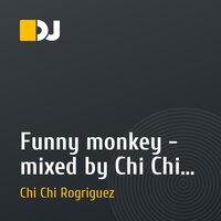 Funny monkey - mixed by Chi Chi Rodriguez (18/02/11)