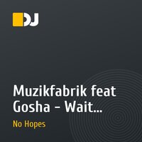 Muzikfabrik feat Gosha - Wait (Sanya Shelest & Sergey Tarasov remix)