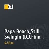 Papa Roach_Still Swingin (D.J.Finn Remix)