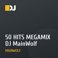 50 HITS MEGAMIX DJ MainWolf 