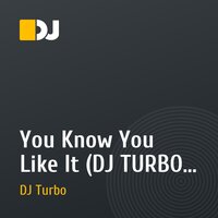 You Know You Like It (DJ TURBO remix)