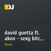 david guetta ft. akon - sexy bitch (dj Xenon remix)