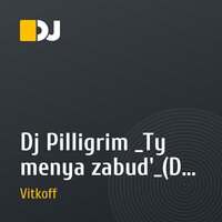 Dj Pilligrim _Ty menya zabud'_(Dj Vitkoff mix)