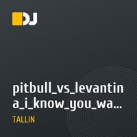 pitbull_vs_levantina_i_know_you_want_me_tallin_mush_up