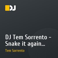 DJ Tem Sorrento - Snake it again (Remix) 2010