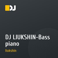 DJ LIUKSHIN-Bass piano
